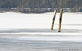 Les jumeaux